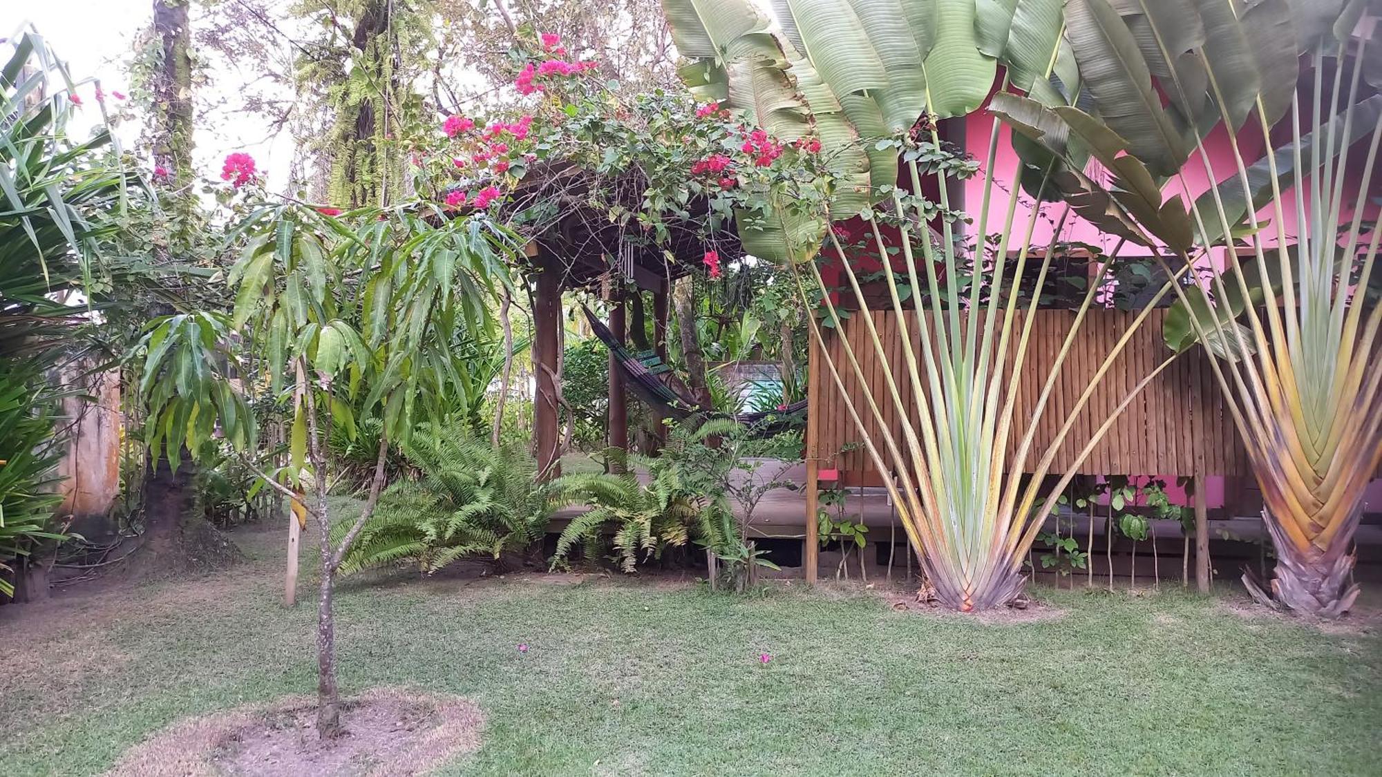 Pachamama Flats - Taipu De Fora Leilighet Barra Grande  Eksteriør bilde